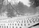 Arlington Cemetery